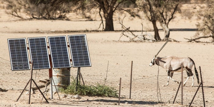 4 Lessons for Entrepreneurs From Africa's Solar Industry