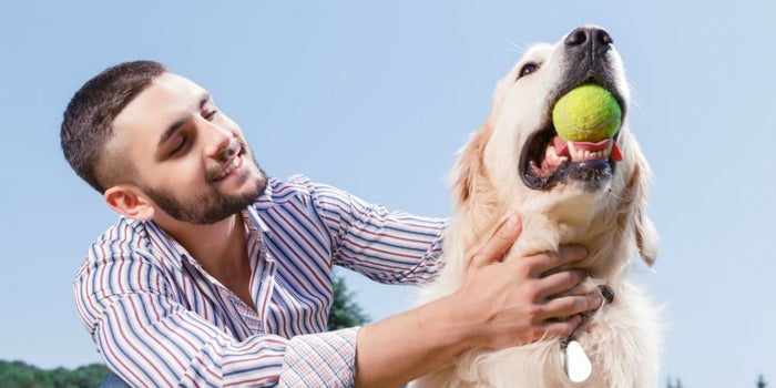 Tips de marketing del millonario negocio de las mascotas