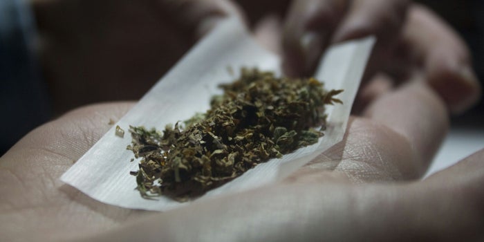 Here's How April 20 Became the 4/20 of Global Cannabis Significance