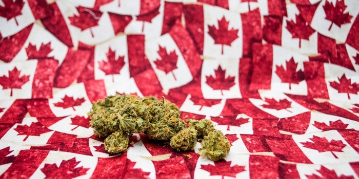 First Cannabis ETF Hits Market and Rises Sharply in Initial Trading