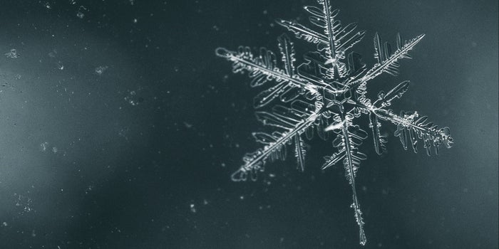 Why the 'Snowflake Test' is a Big, Big Hiring Mistake (and What to Do Instead)