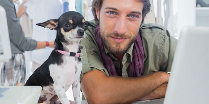 Claves para lograr que tu lugar de trabajo sea pet-friendly