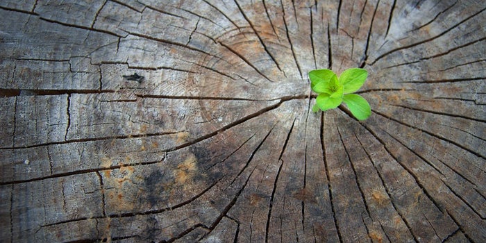 3 pasos críticos para reinventarte