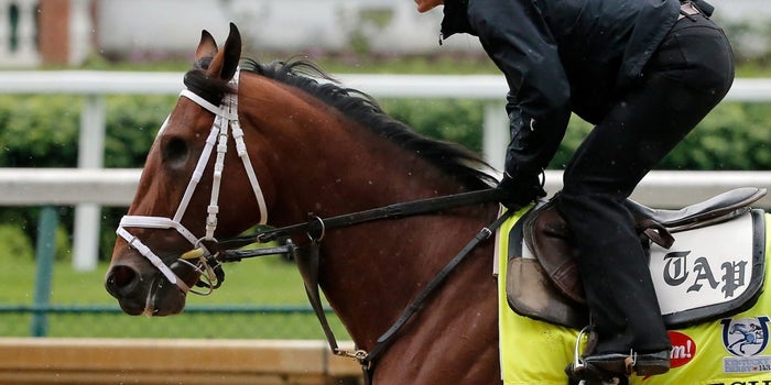 What A Kentucky Derby Darkhorse Can Teach Us About Adversity