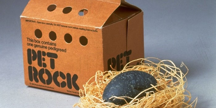 The Last Laugh: Why Good Ideas Are Often Ridiculed at First