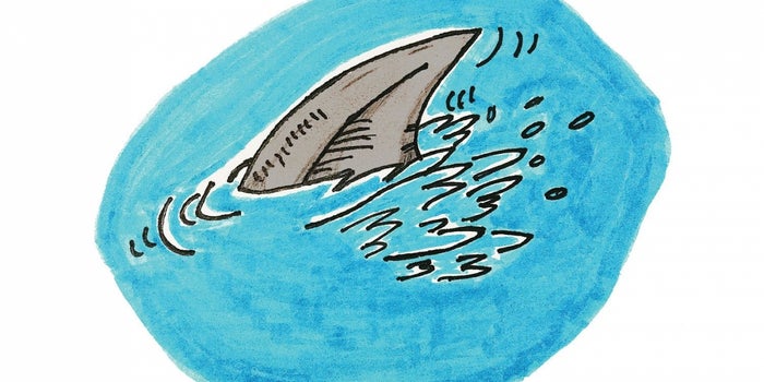 How an Open-Water Swim Helped an Entrepreneur Conquer her Fears