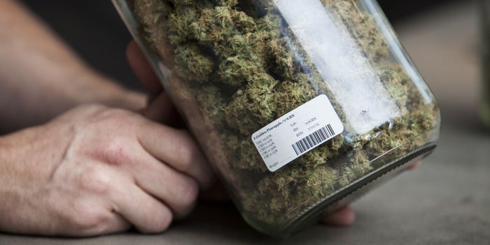 First Year of Recreational Marijuana Sales Are a Tax Windfall for Oregon