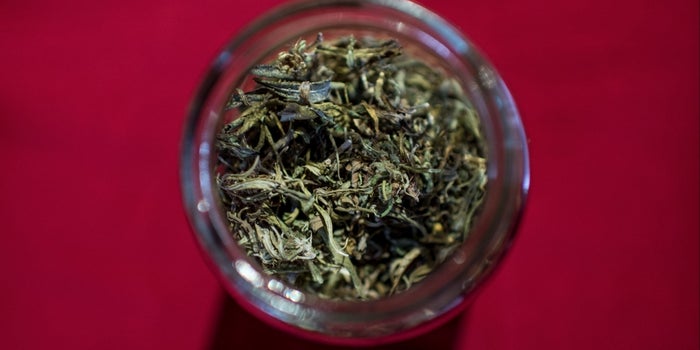 Governor's Veto Stalls Vermont Legislation to Legalize Marijuana