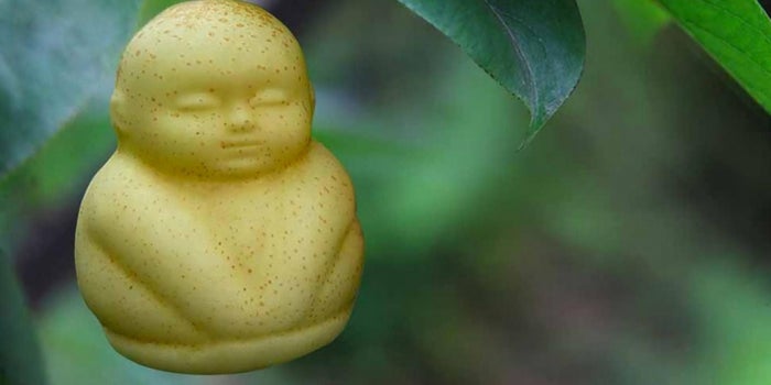 This Freaky Pear Reveals a Lot About Today's Consumers