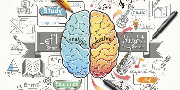 Surprising Truths About the Left and Right Halves of Your Brain (Infographic)
