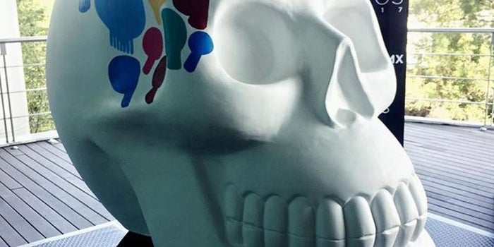 Mexicráneos, el proyecto de arte con el que esta Pyme fascinará a la CDMX
