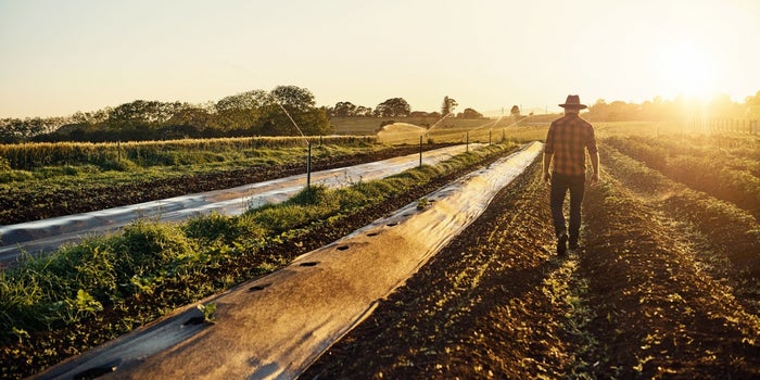 The 8 Lessons Entrepreneurs Could Learn From Farmers