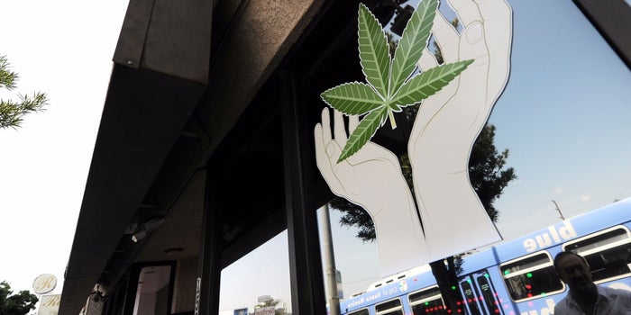 Report Foresees $5B Legal Cannabis Industry for California