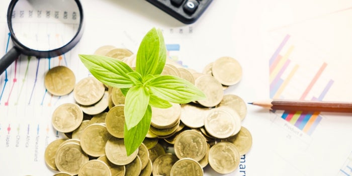 Reputation And Reward: Understanding The UAE's New CSR Law For Businesses
