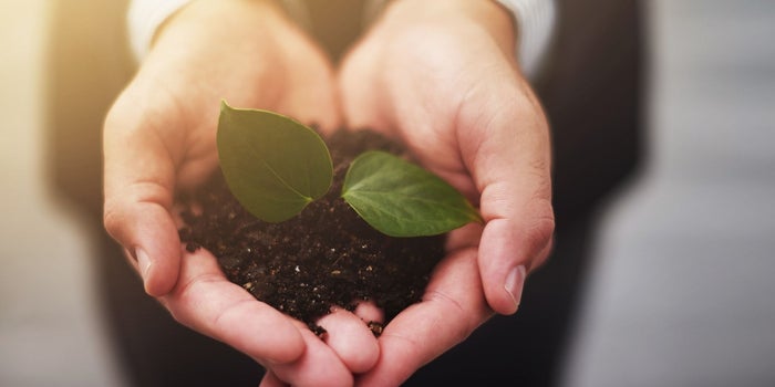 3 Things You Need to Do to Grow Your Business Naturally
