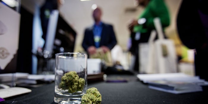 Oakland Strives to Rejuvenate Economically by Becoming California's Cannabis Capital