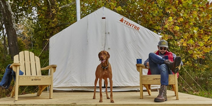 Check Out the Airbnb Camping Experience for Owners and Their Dogs