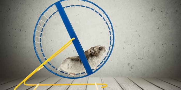 5 Helpful Content Tools and Sources for Digital Marketers