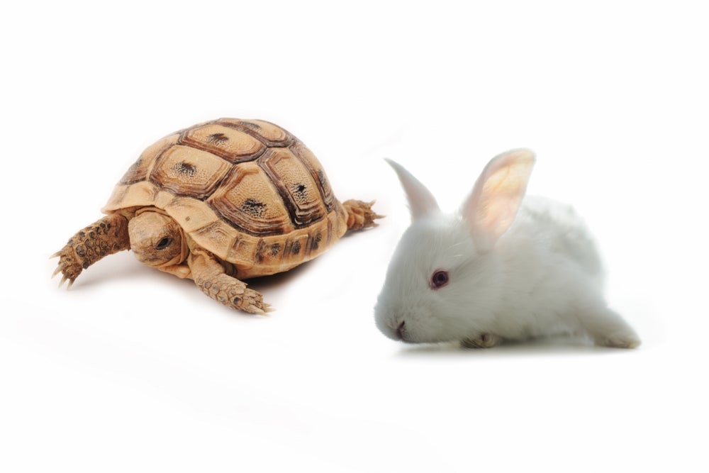 It does not matter how slowly you go
