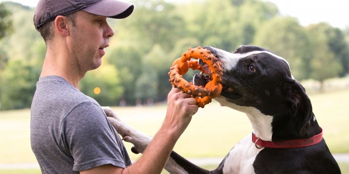 The Success Secrets of the 4-Time Entrepreneur Behind BarkBox, Which Brought in $100 Million in 2016