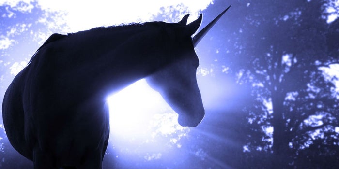 10 unicornios que levantaron 18 mil mdd en los últimos 18 meses