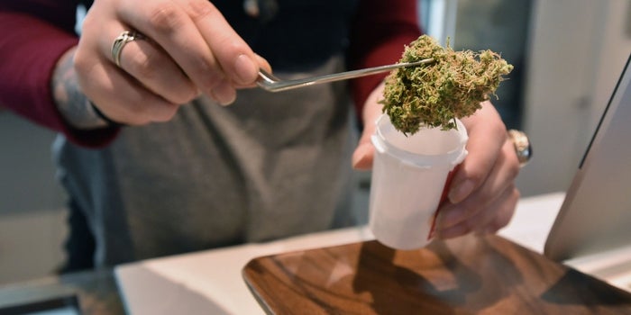 Marijuana Advocates, Your Enemy Has a Name: SAM