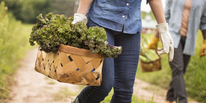 Tech Is Accelerating a Boom In the Food Business