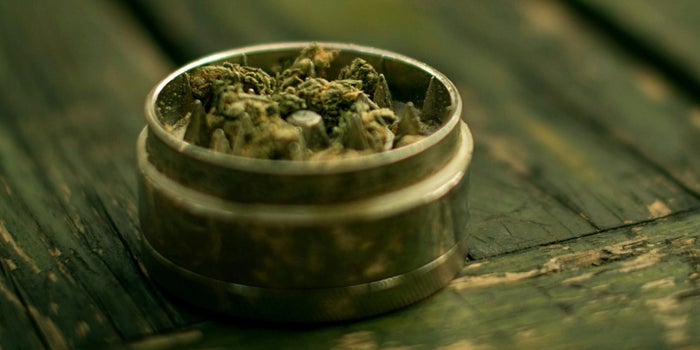 Local Pot Bans Show Not All Cities Are Rushing to Cash in on Cannabis