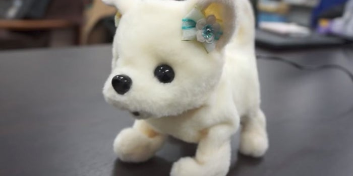 This Adorable Robot Puppy Will Tell You If Your Feet Smell