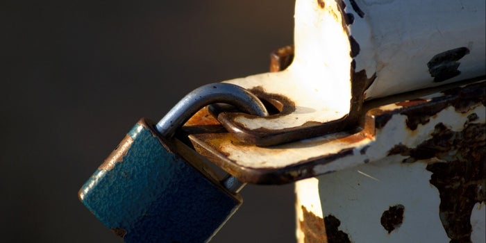 Should Start-ups Have Insurance Cover?