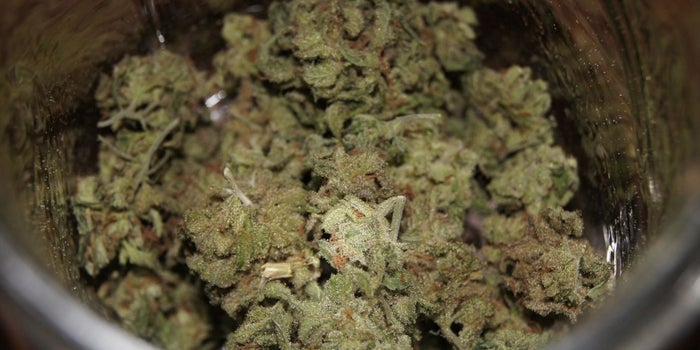 Maine Might Legalize Drive-Through and Internet Cannabis Sales