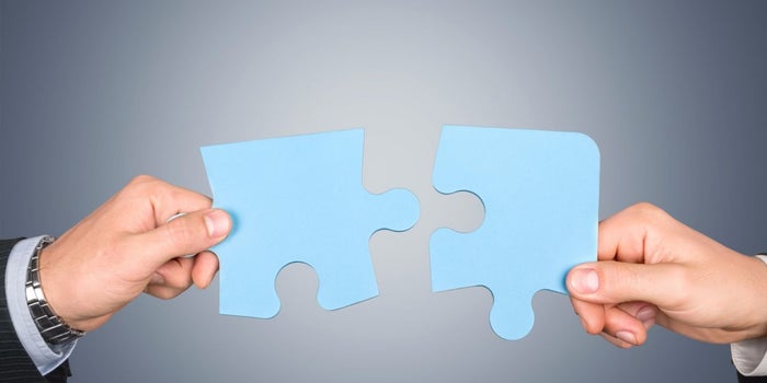 The Co-founder Dilemma: To Have or Not To?