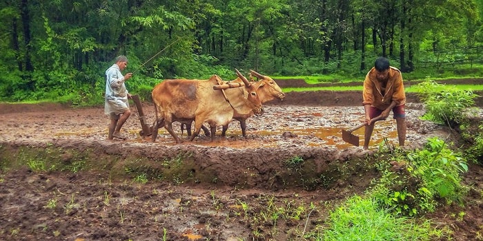 How Technology is Helping Farmers at the Grassroots