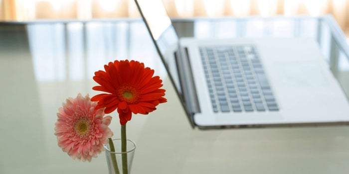 6 Science-Backed Ways to Make Your Office More Productive