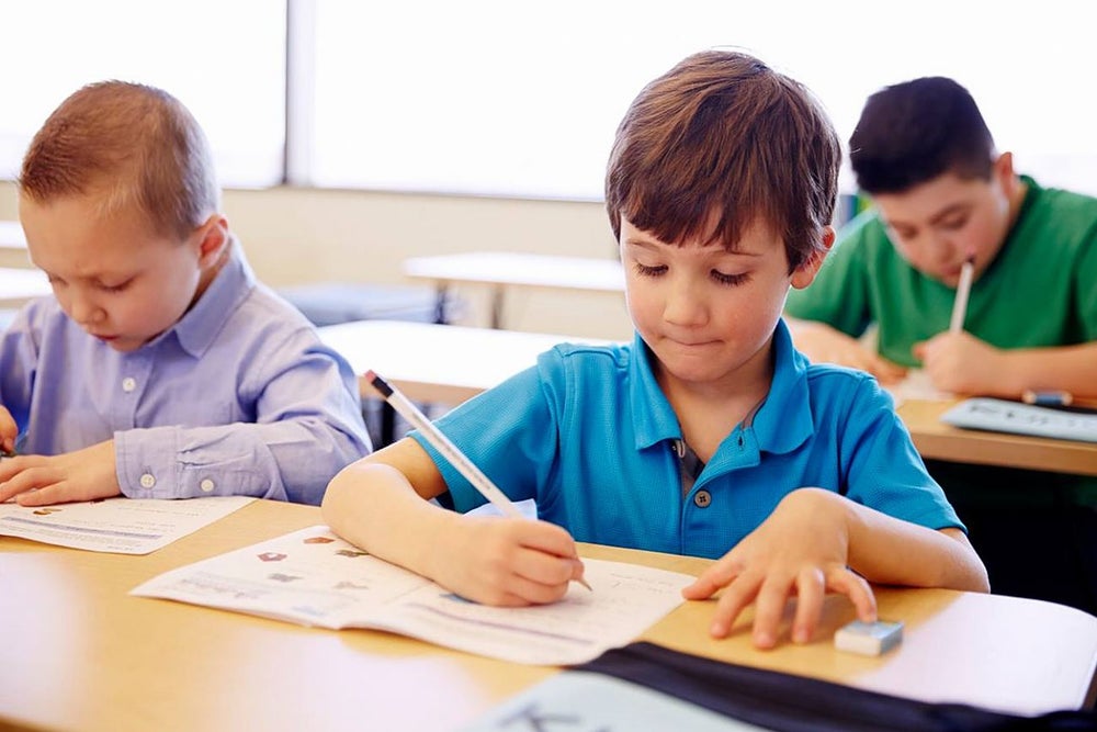 The 5 Best Teaching and Mentorship Franchises You Can Buy