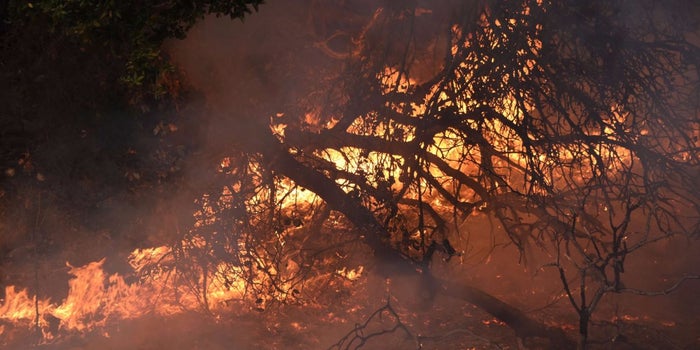 Cannabis Industry Rallies to Overcome Unique Legal Barriers to Recovery From Northern California Fires