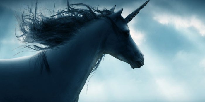 Do These 4 Things to Become the Unicorn of Your Industry