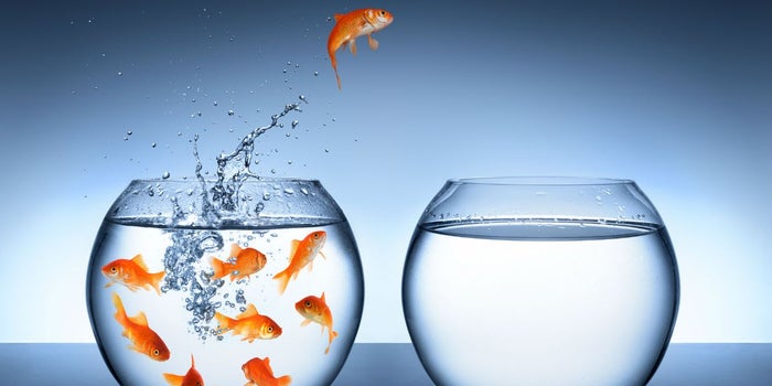 Disruptivo APRENDE, el paso entre querer emprender y saber cómo
