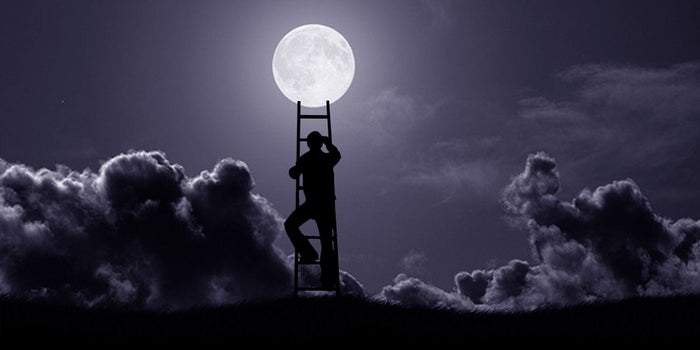 Stop Shooting For the Moon! Raising Prices Won't Raise Your Profits. Catering to a Niche Will.