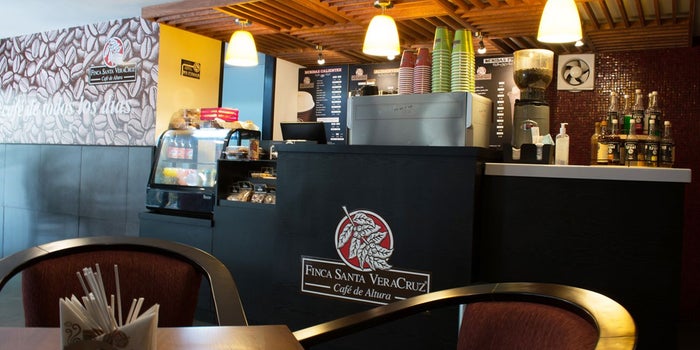Vive una nueva experiencia con el café mexicano