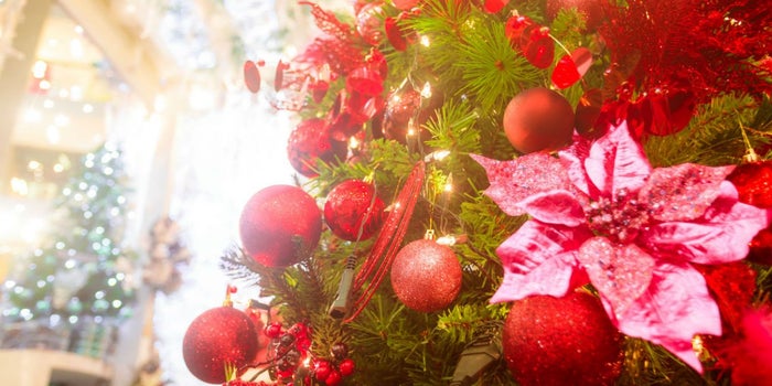 Especial: 7 ideas de negocios decembrinos que puedes arrancar