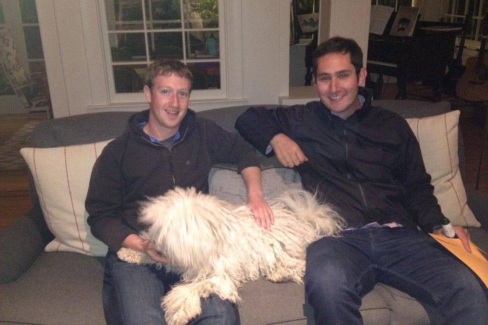Entrepreneurs Talk About How Their Pets Make Their Lives Better