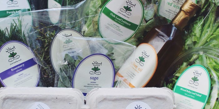Egypt-Based Bustan Aquaponics Is Taking A Socially Responsible Route Towards Food Security