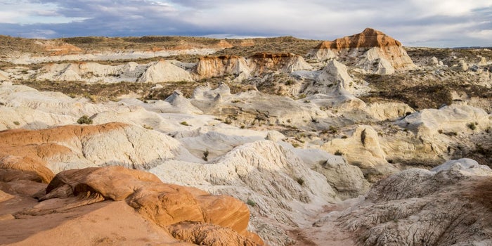 5 Lessons on Taking a Stand You Can Learn From Patagonia