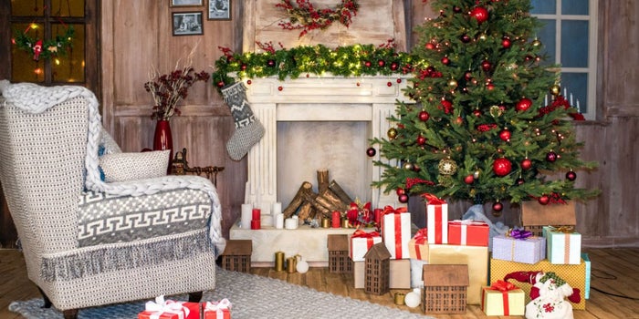 Empieza un negocio de renta de árboles de Navidad