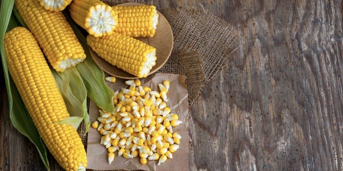 El emprendedor mexicano que conquistó con esquites EU, Asia y Europa