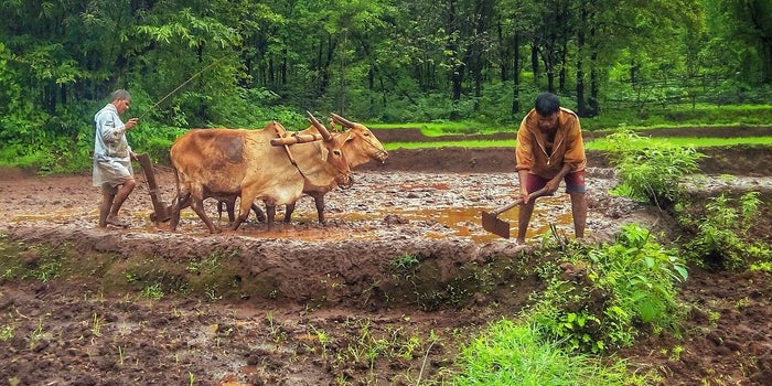 Govt Calls Upon Agri-tech startups to Build Strong Framework For Indian Agricultural Growth