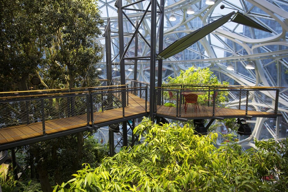 Take a Look Inside Amazon's New Rainforest Office Space
