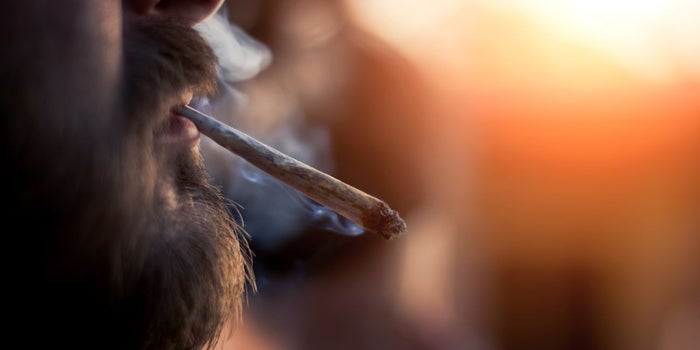 Cannabis Industry Heads to Washington to Tell Congress What It Needs to Thrive