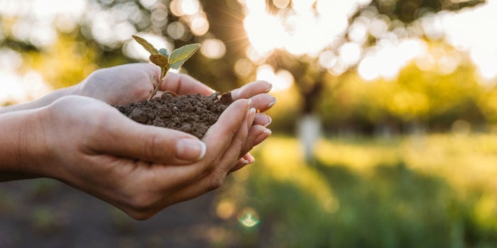 ¿Cómo emprender y ayudar al medio ambiente?